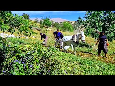 PESONA DESA DI TURKI: KEDAMAIAN YANG MENYENTUH HATI