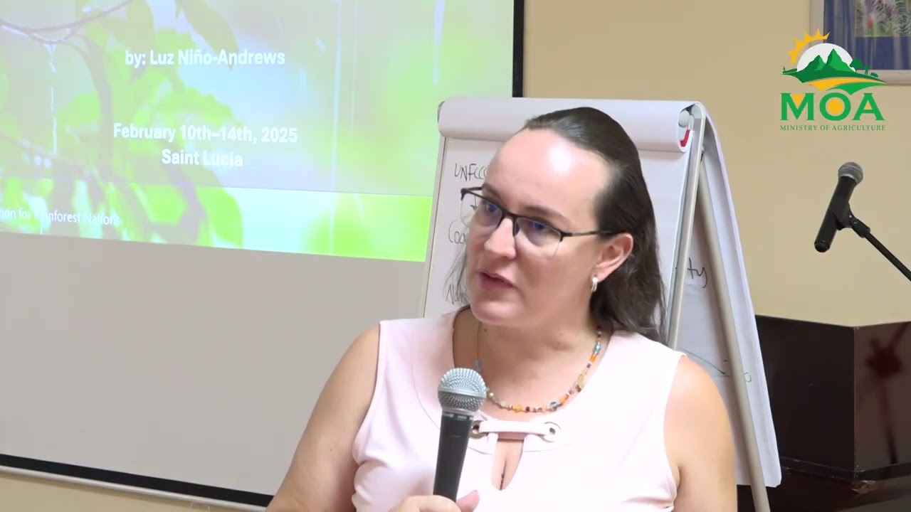 Capacity Building Program for Forest and Land Use Sector VNR
