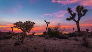 BASIA   -  PERFECT MOTHER