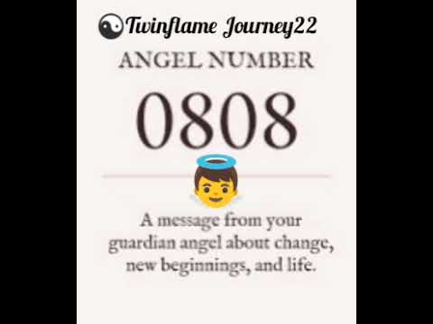 #if u seeing angel number 08:08#