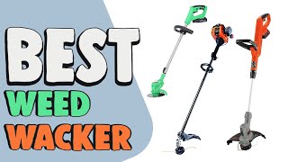 Best Weed Wacker in 2021 – Take Care of Your Lawn with Ease!