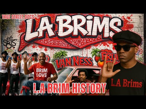 62 Brims