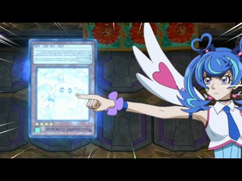NEVER FUWALOS A TRICKSTAR PLAYER! YUGIOH MASTER DUEL 
