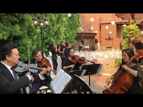 Heaven (excerpt 2) - Bryan Adams - Jopa String Quartet