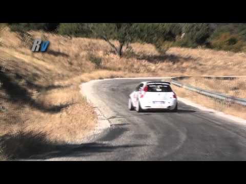 2011 Eskişehir Rallisi / Ünal Şenbahar - Emir Şahin / Fiat Punto S2000