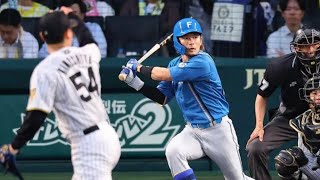甲子園が凍りついた…“北のタッチコンビ”が試合を動かした瞬間⚾🔥#プロ野球 #日本ハムファイターズ #阪神タイガース #交流戦 #甲子園 #野球ハイライト #水野達稀 #カストロ #逆転劇 
