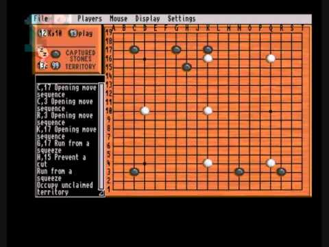 Art of GO, The picture