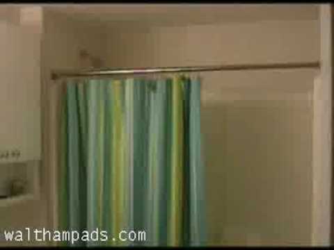 Nice apartment for rent in Waltham MA