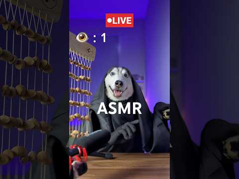 Bitte bleib bei mir 🥹 #short #shorts #livestream #asmr