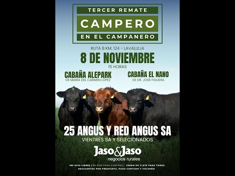 08/11/2025  Remate Campero - Jaso y Jaso / Local Campanero - Lavalleja