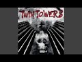 Twin Towers