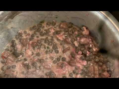 The Coming of the Cane Corso