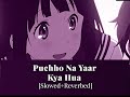 Puchho Na Yaar Kya Hua The Unwind Mix Slowed Reverbed Prajakta Shukre