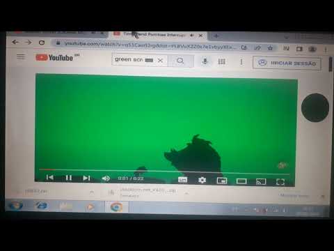 Timon & Pumbaa Interrupt 6 Shaolin Soccer