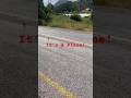 Extremely Low Flying Bird With Supersonic Speed #bird #jet #supersonic #superman #flying #funnyshort