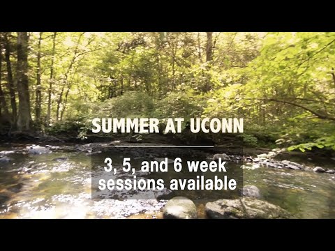 Course Catalog Uconn