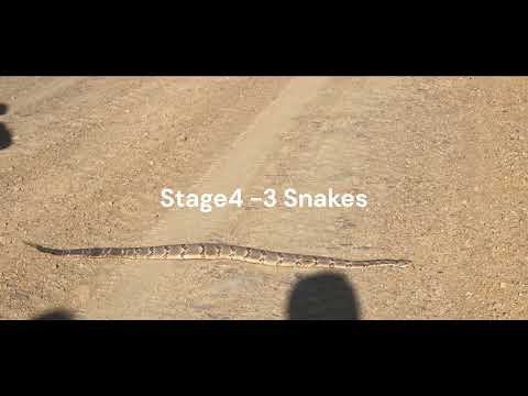 Southern Enduro 2024 Race, Venue #4 Cucumber Creek Ranch