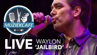 Waylon - &#39;Jailbird&#39; live bij Muziekcafé