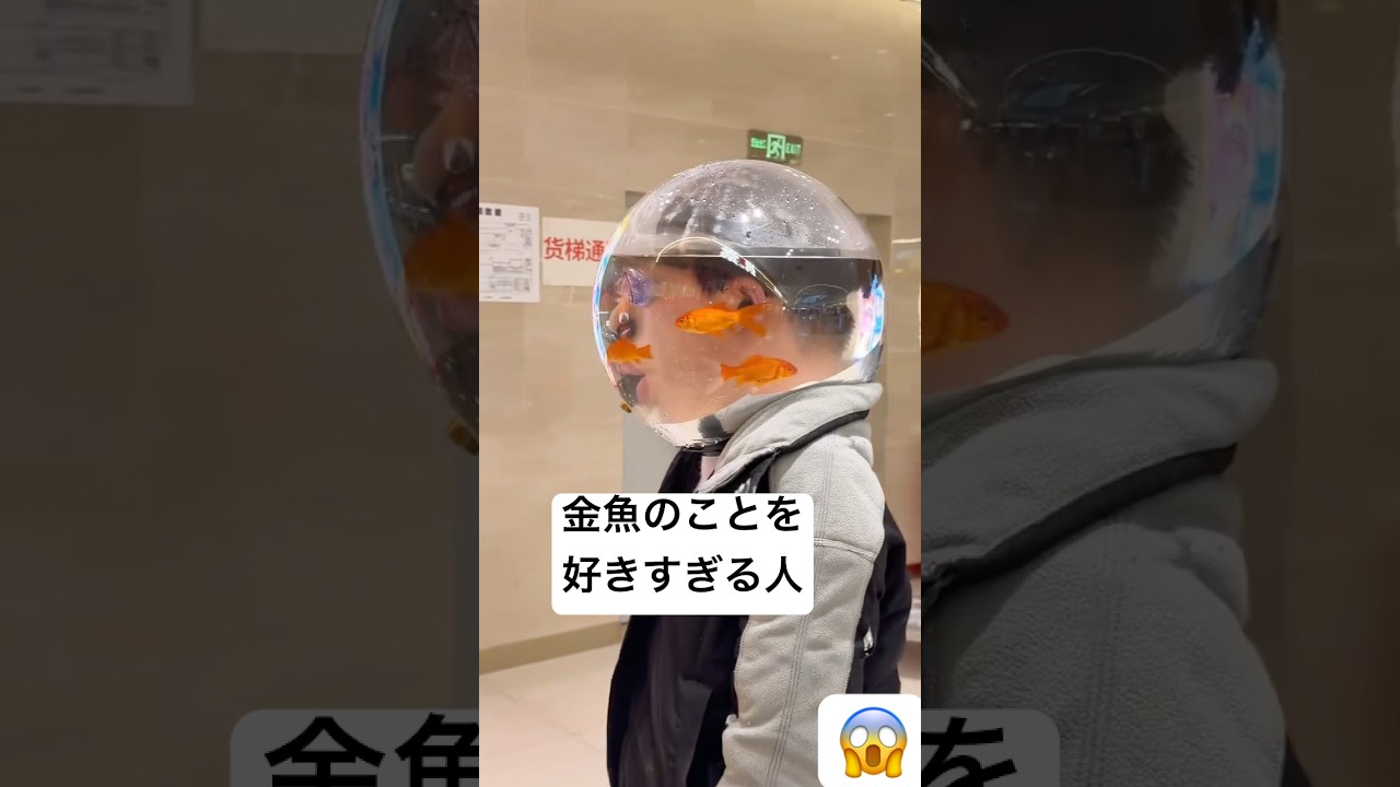 金魚のことを好きすぎる人