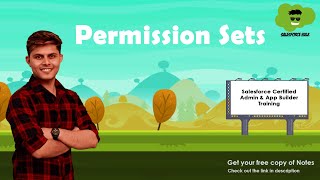 What are Permission Sets (Object Level Security) in Salesforce?