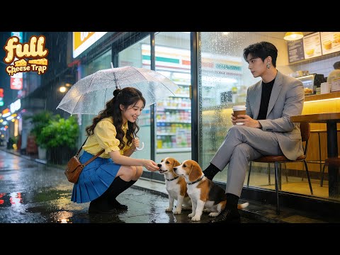 CEO Rejected Every Woman,But Fell For An Intern Who Spent All Her Money Saving Stray Dogs—Love Came!