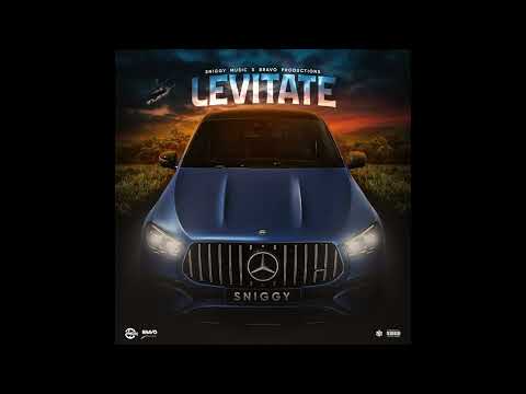Sniggy - Levitate (Official Audio)