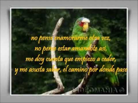 no pense enamorarme otra vez- gilberto santarosa y myriam hernandez