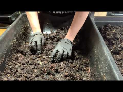 Vermiculture Breeder Bin Reset
