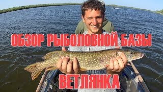 Рыболовная база ветлянка - астраханская область