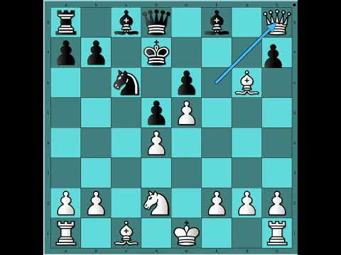 Bilo kako bilo crno ti se piše 😎🔥🔥🔥🔥 TAL vs SALNIKOV #3344