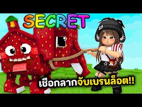 อัปเกรดเชือกเพื่อจับเบรนล็อต!! ตัวแพงที่สุดในแมพ | Roblox : Lasso a Brainrot