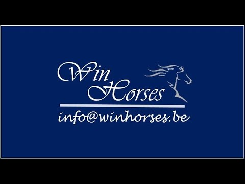 Fine Royal - 3.5yo gelding by Feinrich x Rubin Royal