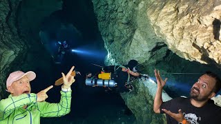 Divers React to Grand Traverse at Peacock Springs with @BlueWorldTV!