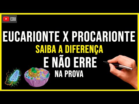 CÉLULA EUCARIONTE X PROCARIONTE - Aprenda s diferença em 1 minuto! Não Erre Nunca na PROVA! Biologia