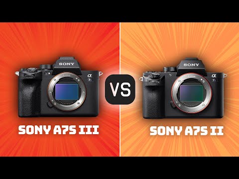 Sony A7S III vs Sony A7S II: Which Camera Is Better? (With Ratings & Sample Footage)