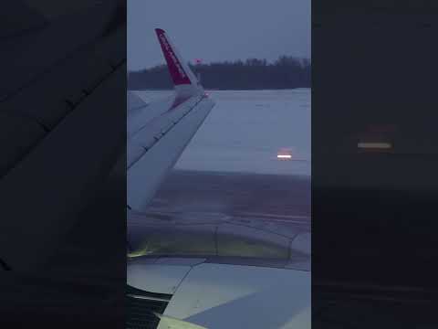 Airbus A321Neo - Landing with Thrust reverser view #airbus321 #a321neo #a321xlr