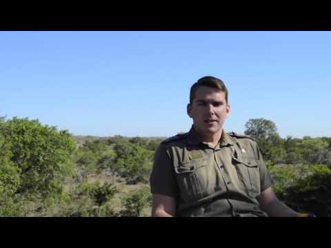 Meet Mike Palmer – Assistant Head Ranger