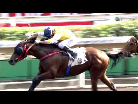 29/11/2020 (223) 特駒聯盟 (C472) 郭能