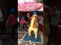 Dhol Jageero Da Funny Dance Baba