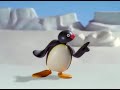 Pingu Show Intro 1h 59 Minutes And 57 Seconds Seamless