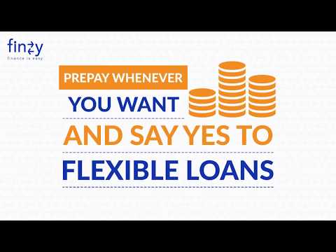 Flexible Loans with finzy