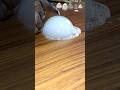 Smoke Bubble Tutorial Simple Science Experiment Shorts Experiment Science Viral