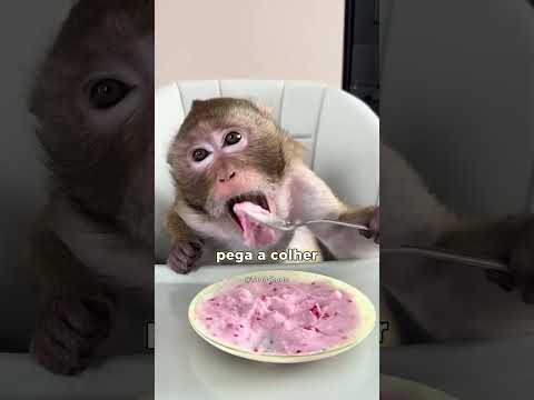 Ninguém esperava que essa macaquinha soubesse fazer isso! 🐒🍇