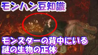 知ってる？モンスターの背中を飛んでるあいつの正体【モンハン豆知識】#shorts
