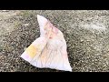 Two Girls Trample Anime Pillow
