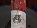 Karthika Masa Somavara Shiva Abhishekam Shorts