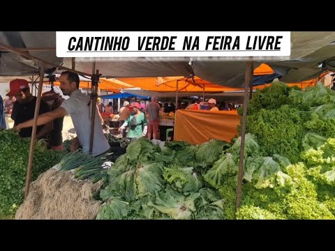 O BLOGS e cantinho verde na feira livre de iati Pernambuco 