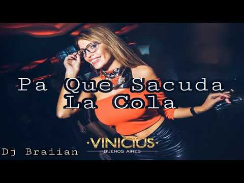 PA QUE SACUDA LA COLA - Dj Braiian [ SEBA TC FT EL BANDIDO ]