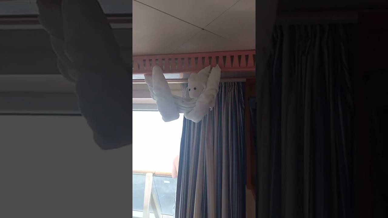 Carnival Glory - Cabin 8455 - Video 2