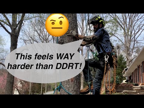 SRT and SRS: How to Climb Single Rope Technique